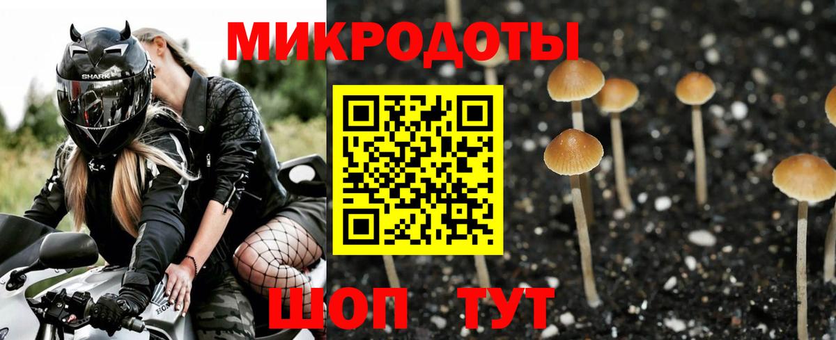 Азнакаево  Галлюциногенные грибы Cubensis  Вход с VPN 